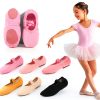 Generic Girls Dance Shoes Lyrical Tap Ballet Flats Kids-1