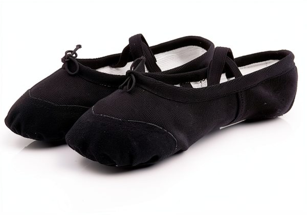 Generic Ballet Shoes Girls Pink Black Dance Flats Kids-2