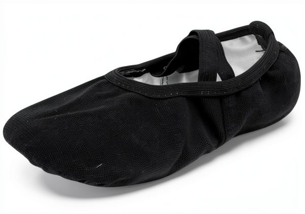 Generic Girls Ballet Satin Slippers Pink Black White Sizes-0