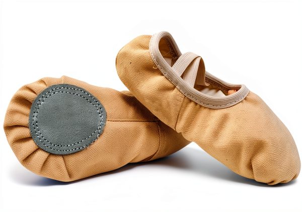 Generic Ballet Shoes Girls Leather Sole Slip On Dance Shoes-0