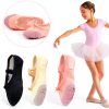 Generic Girls Ballet Shoes Pink Black Sizes Toddler Big Kid-1