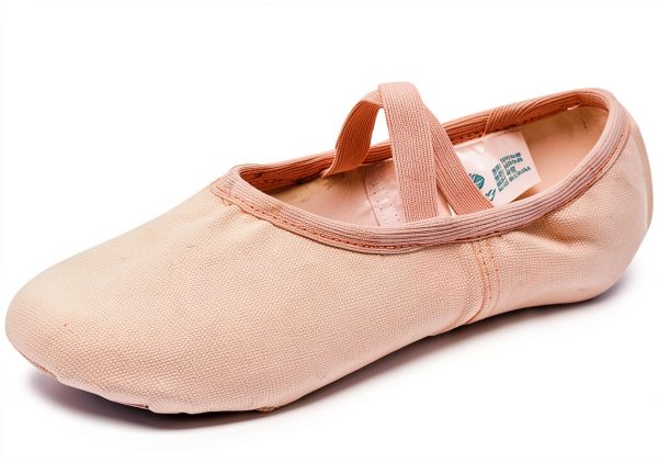 Generic Girls Dance Shoes Lyrical Tap Ballet Flats Kids-0