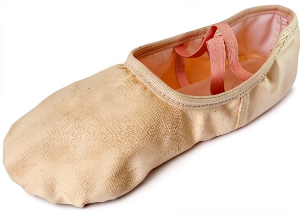 Generic Ballet Shoes Girls Leather Sole Slip On Dance Shoes-1
